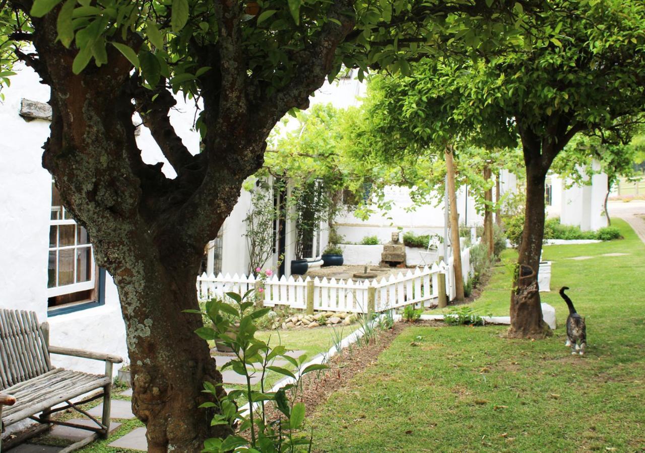 Moffid'S Place Swellendam Ngoại thất bức ảnh